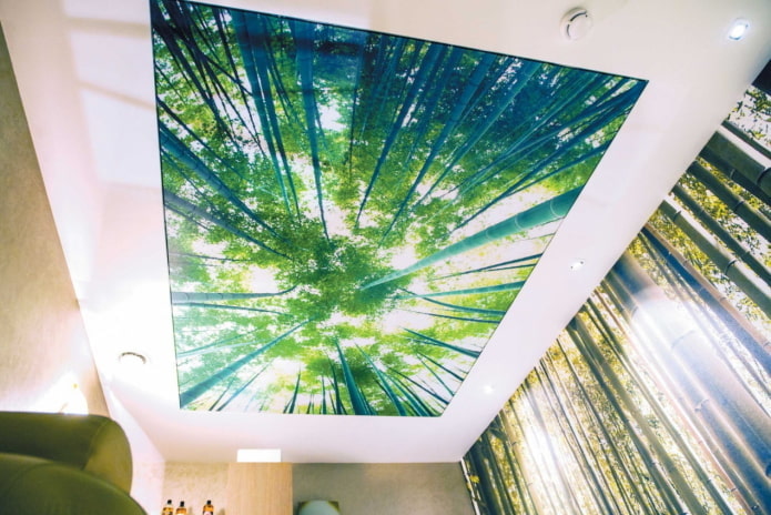 green stretch fabric with photo printing green stretch fabric with photo printing