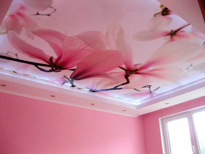 pink ceiling design with photo print pink ceiling design with photo print
