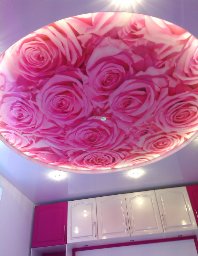 photo printing on the ceiling of a rose photo printing on the ceiling of a rose
