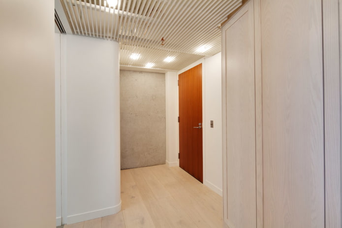 ceiling design in the hallway in the loft style ceiling design in the hallway in the loft style