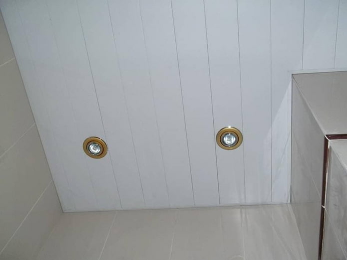 siding on the ceiling in the bathroom