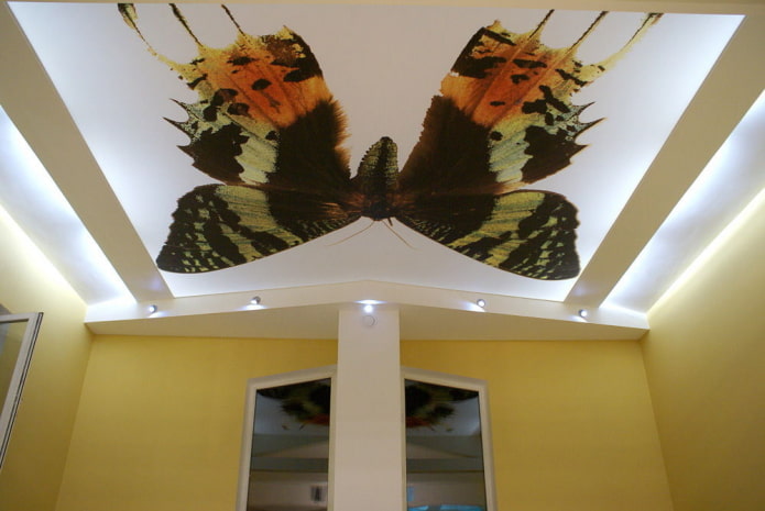 butterfly ceiling butterfly ceiling