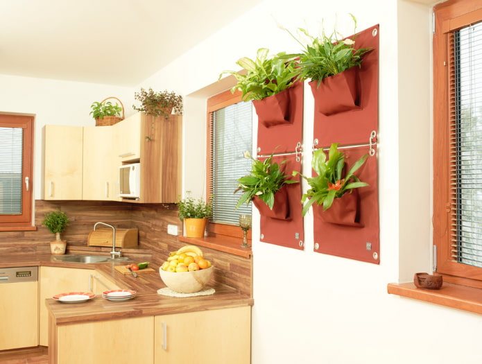 plants on the wall in the interior of the kitchen plants on the wall in the interior of the kitchen
