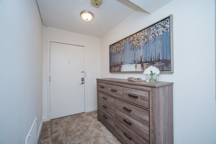 narrow picture in the interior of the hallway