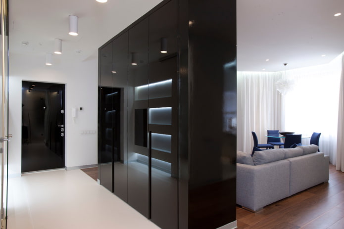 black cabinet in the form of a partition in the interior black cabinet in the form of a partition in the interior