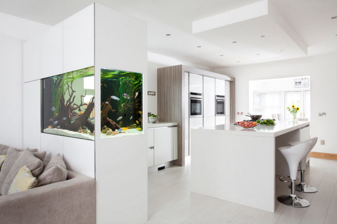 cabinet with an aquarium in the form of a partition in the interior cabinet with an aquarium in the form of a partition in the interior
