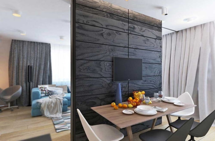 partition with a TV in the interior of the kitchen-living room partition with a TV in the interior of the kitchen-living room