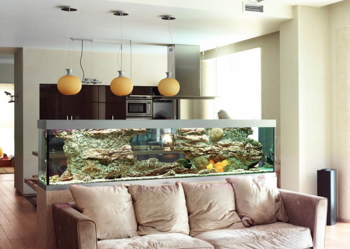 partition with an aquarium in the interior of the kitchen-living room partition with an aquarium in the interior of the kitchen-living room