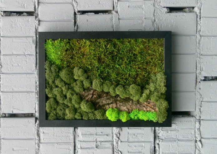 panel of moss on the wall in the interior panel of moss on the wall in the interior