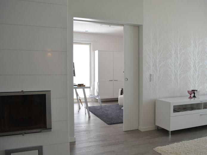 Scandinavian style interior sliding door