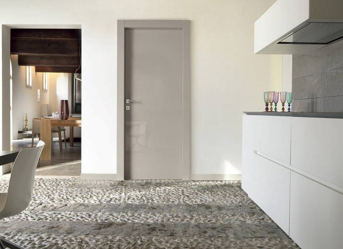glossy gray door in the interior glossy gray door in the interior
