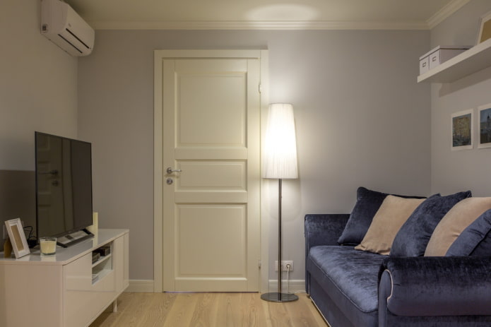 light-colored doors in the living room