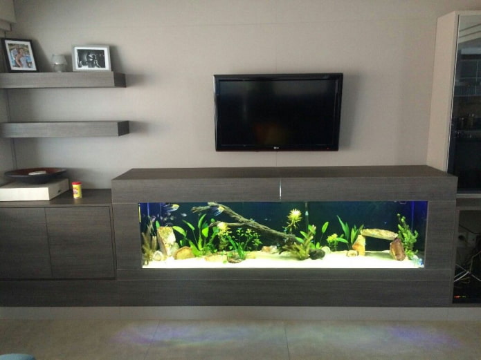 wall-mounted TV with an aquarium in the interior