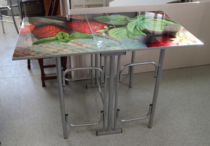 book model with photo printing in the interior book model with photo printing in the interior