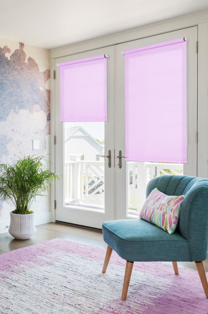 roller blinds on the door in the interior roller blinds on the door in the interior