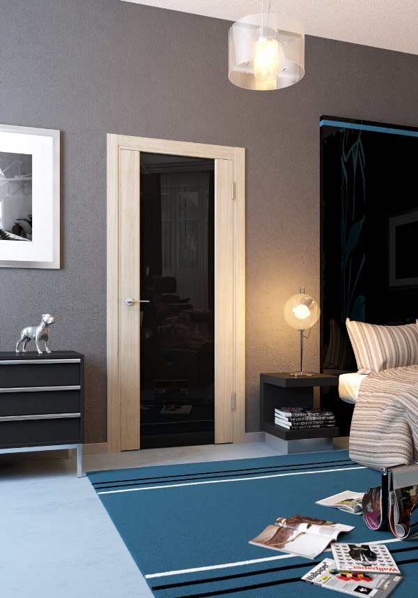 doors with black glass in the interior doors with black glass in the interior