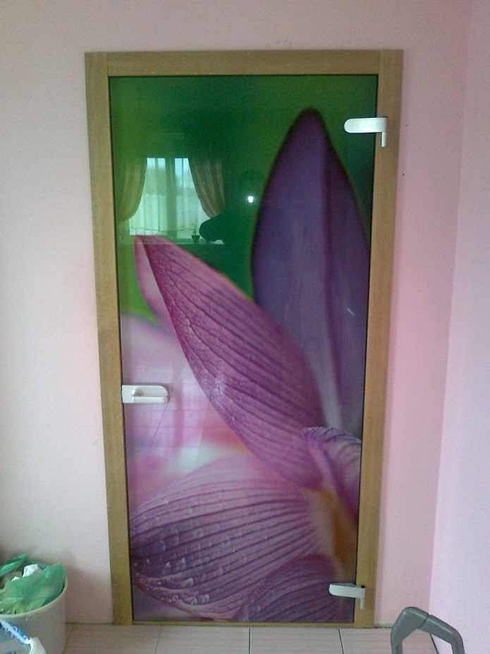 glass doors with photo printing in the interior glass doors with photo printing in the interior