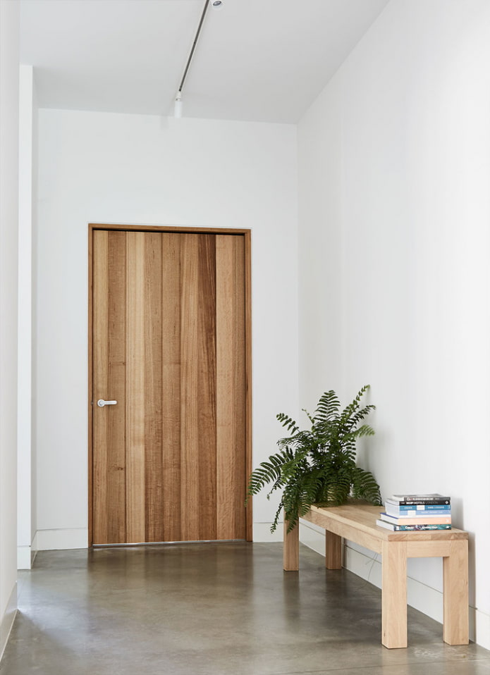entrance door model in the style of minimalism entrance door model in the style of minimalism