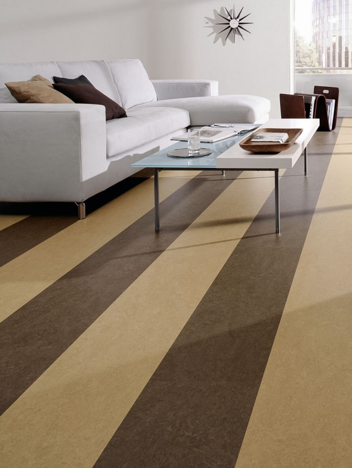 two-tone linoleum in the interior two-tone linoleum in the interior