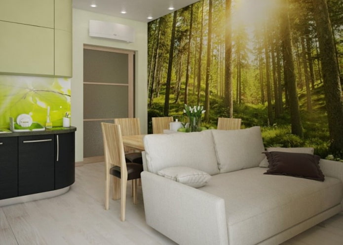 sofa in the interior of the kitchen