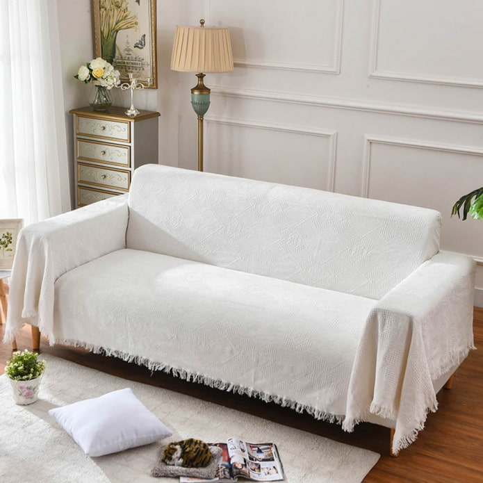 the location of the sofa cape in the interior