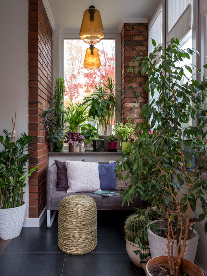Houseplants and red bricks Houseplants and red bricks