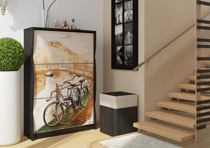 shoe rack with drawings in the interior of the hallway