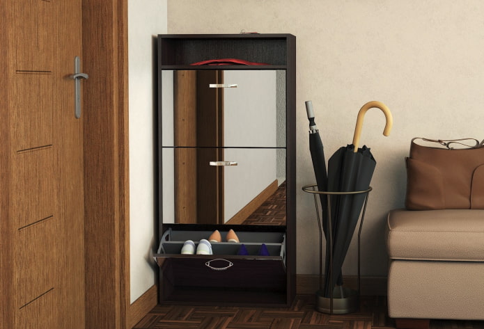 shoe rack with a mirror in the interior of the hallway