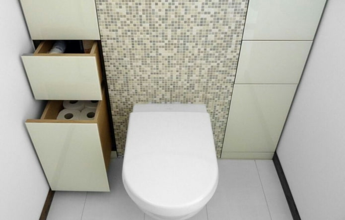 pull-out wardrobe in the interior of the toilet