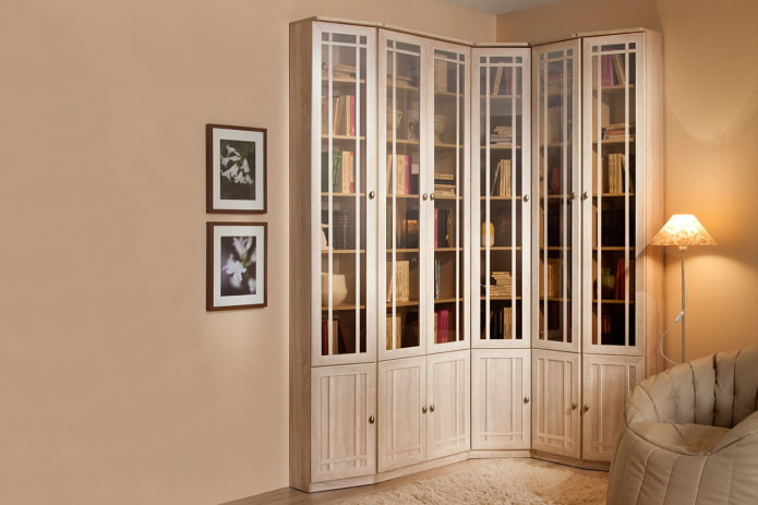 corner bookcase in the interior of the hall corner bookcase in the interior of the hall