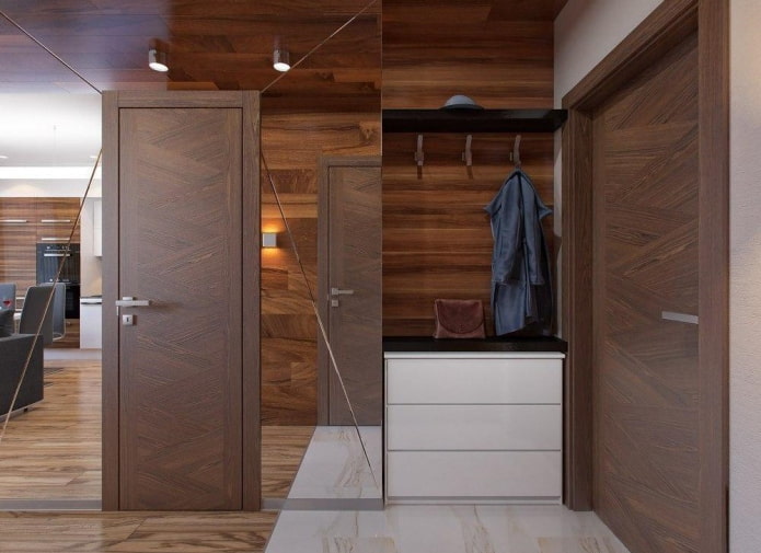 hallway in the interior of a studio apartment