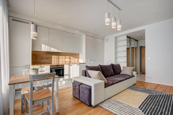 interior of a kitchen-studio with a partition in the form of a sofa interior of a kitchen-studio with a partition in the form of a sofa