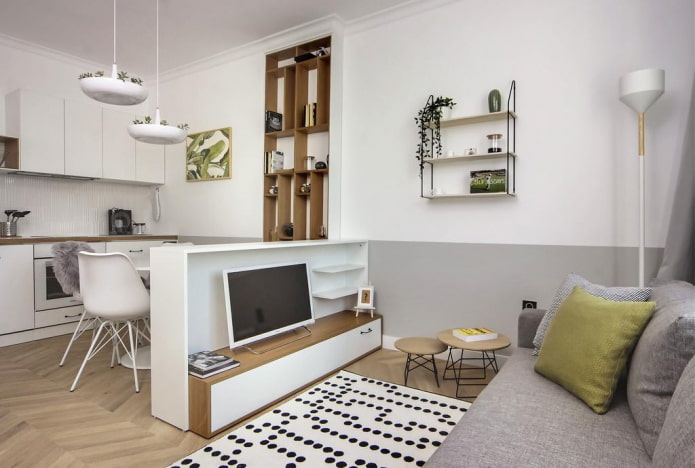 zoning in the interior of a studio apartment