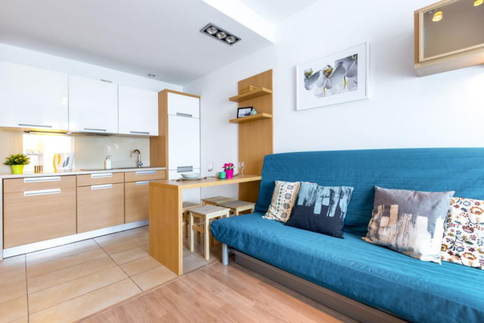 Modern style apartment