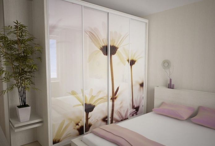 wardrobe with a facade with photo printing in the interior of the bedroom wardrobe with a facade with photo printing in the interior of the bedroom
