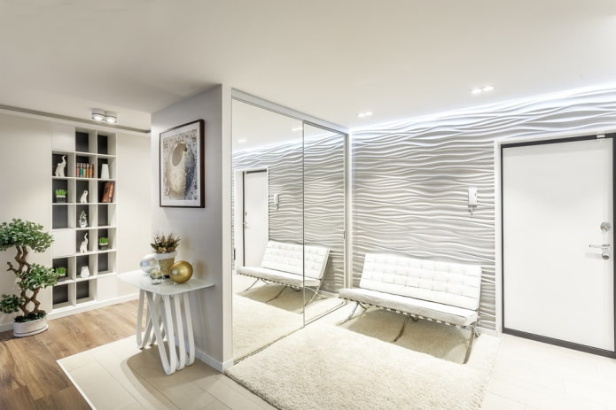 wardrobe in the interior of the corridor in a modern style