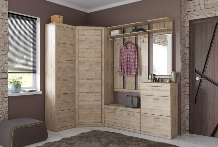 corner wardrobe in the interior of the hallway
