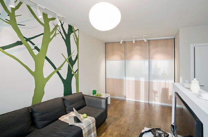 wardrobe in the interior of the hall wardrobe in the interior of the hall