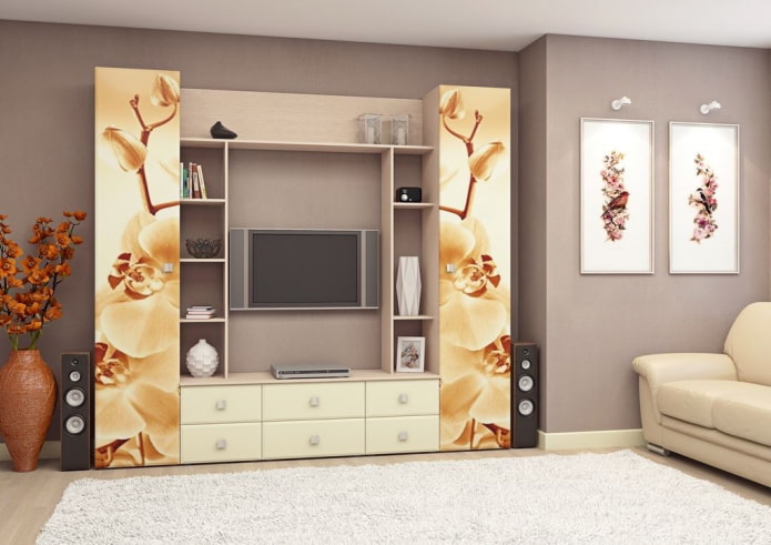 wardrobe in the interior of the living room wardrobe in the interior of the living room