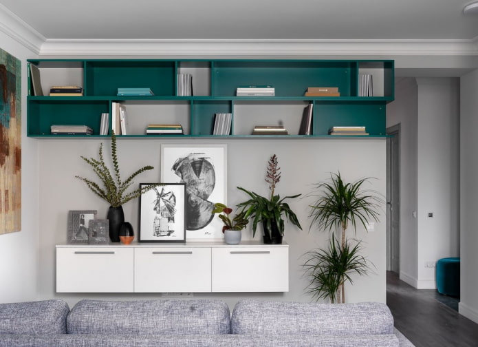 coloring of bookshelves in the interior