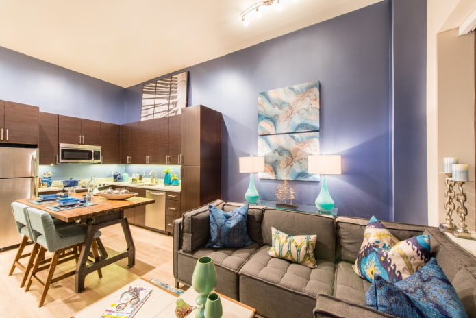 Kitchen-living room in the studio