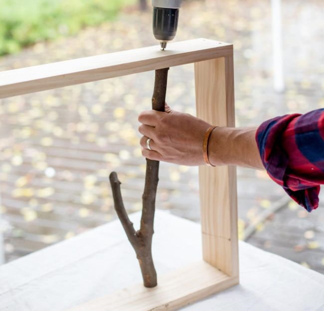 Insert branches Insert branches