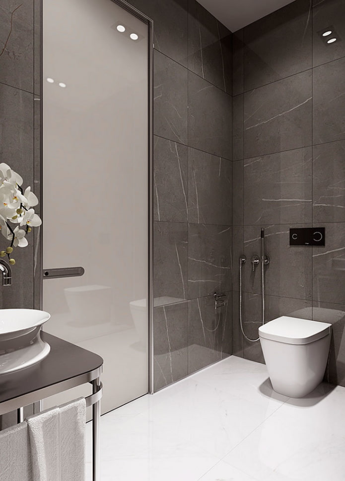 toilet interior in gray tones