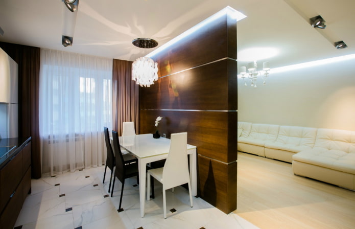 zoning with a partition in the interior of the kitchen-living room
