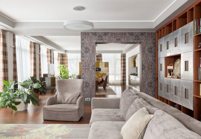 portal zoning in the interior of the kitchen-living room