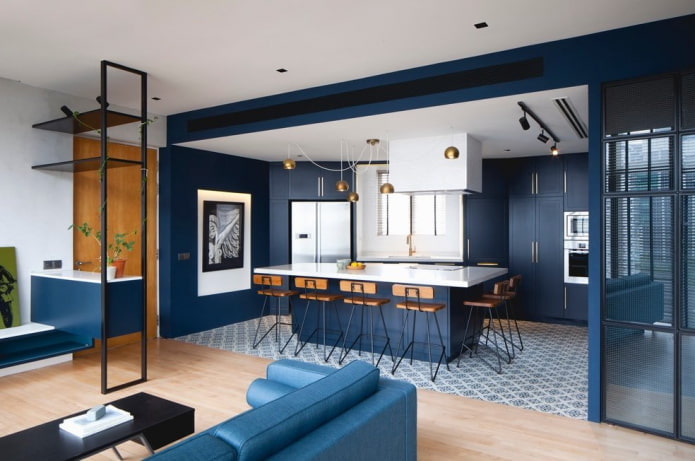 color zoning in the interior of the kitchen-living room