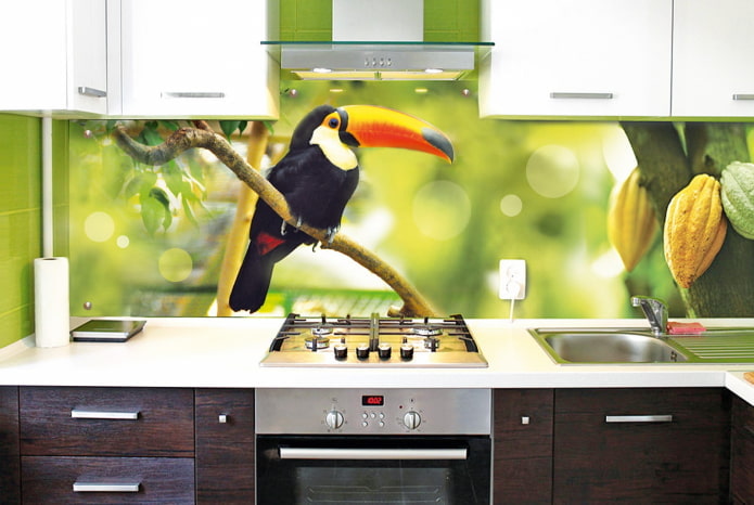 plastic in the finish of the kitchen apron plastic in the decoration of the kitchen apron