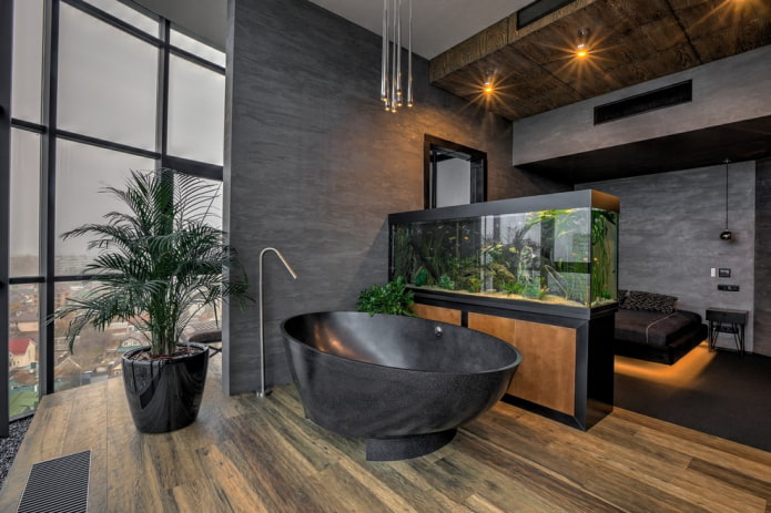 interior with partition aquarium interior with partition aquarium