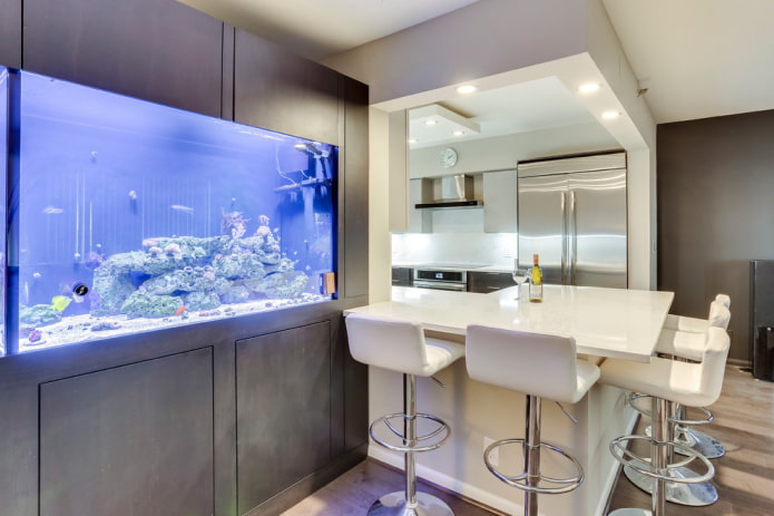 kitchen interior with aquarium kitchen interior with aquarium