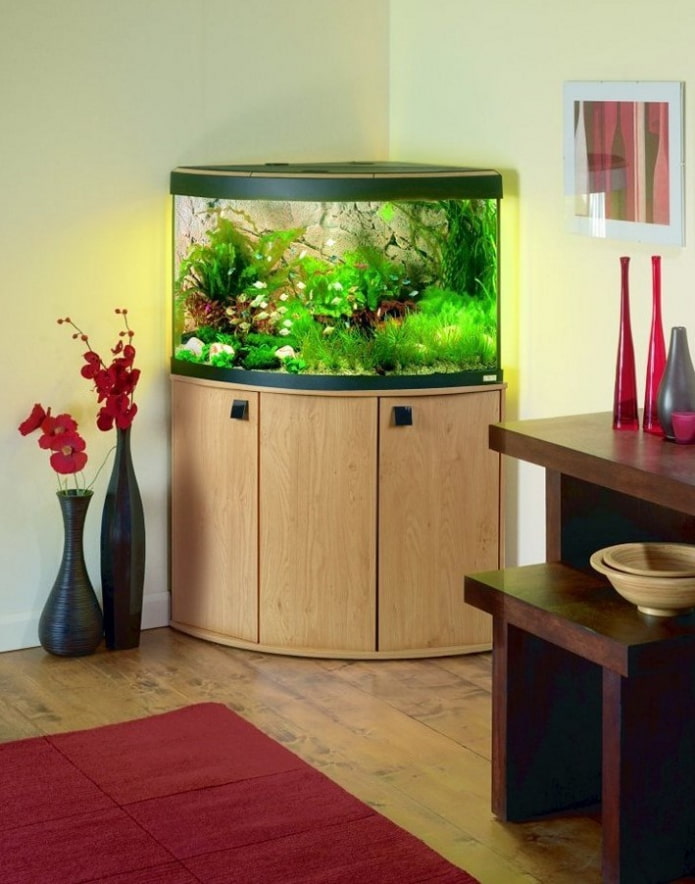 the shape and size of the aquarium the shape and size of the aquarium